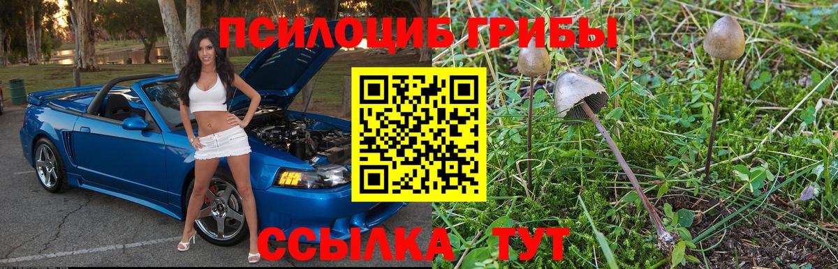 Новошахтинск  Псилоцибиновые грибы MAGIC MUSHROOMS  Вход с VPN 