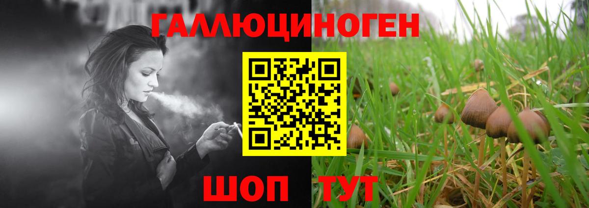 Галлюциногенные грибы мухоморы Новошахтинск
